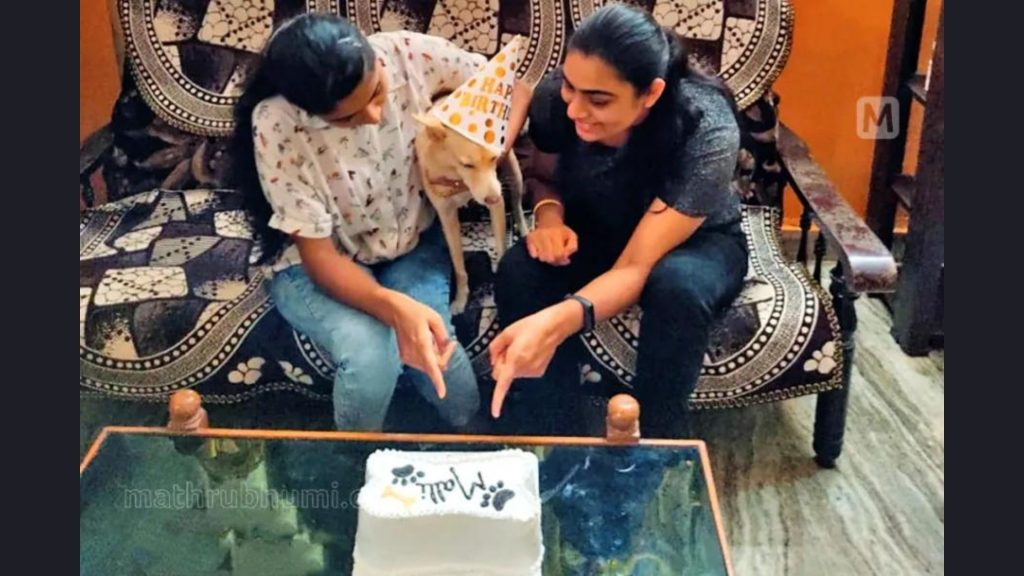 50 stray dogs adopted by families in India