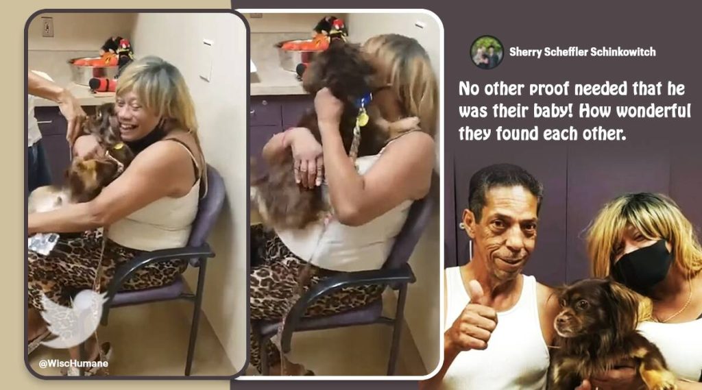 Family in Wisconsin reunites with their lost pet