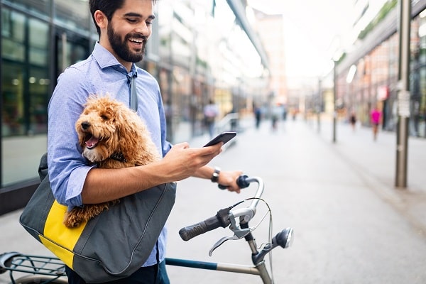 7 Best Apps For Every Pet Owner in 2021