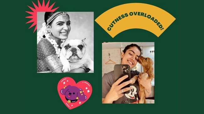 These Celebs From The South Are Doting Pet Parents