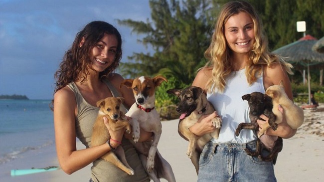 Two Colorado Sisters Helping Neglected Dogs In The US