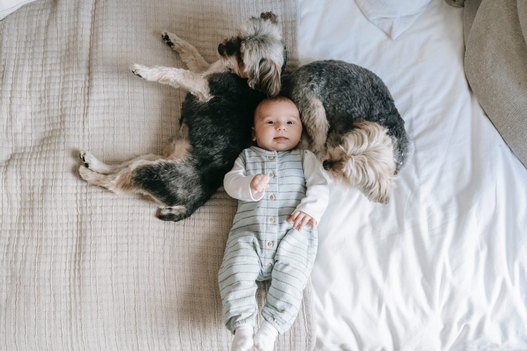 advantages-of-having-dog-for-kid