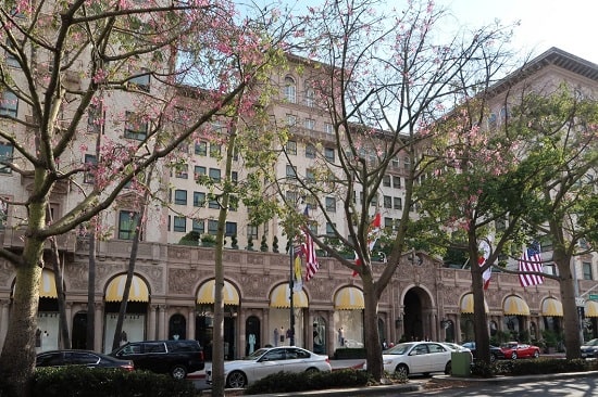 10 Best Pet-Friendly Hotels in Los Angeles