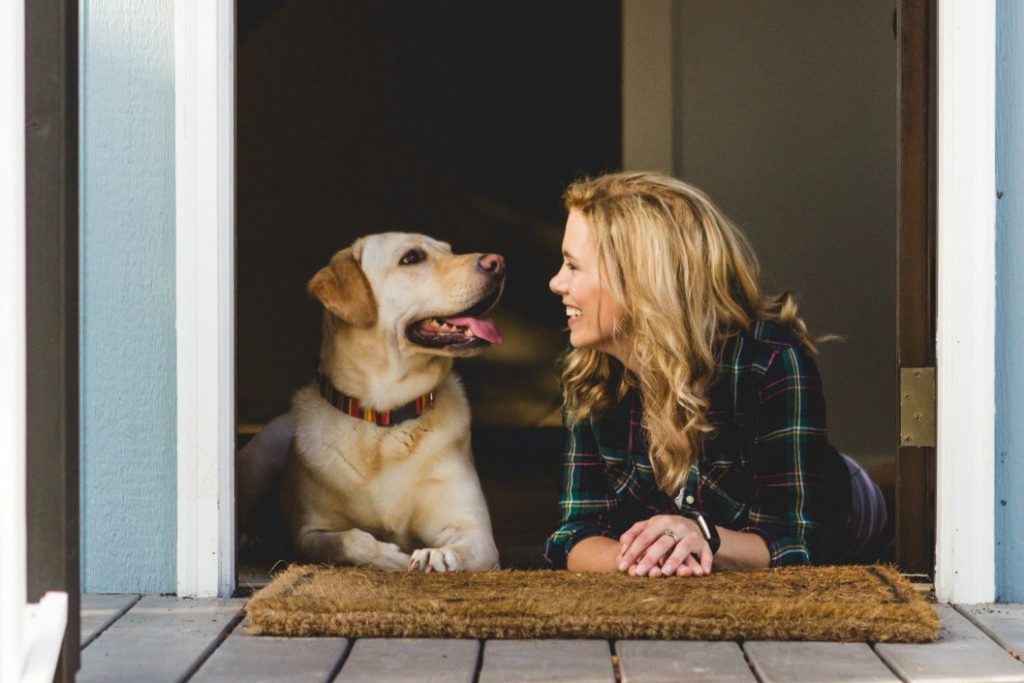 8 Excellent Ways to Keep Your Dog Healthy and Happy
