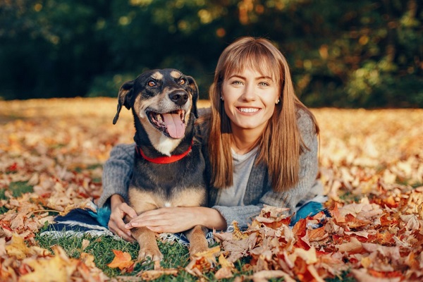 Autumn Care And Safety Tips For Your Dog