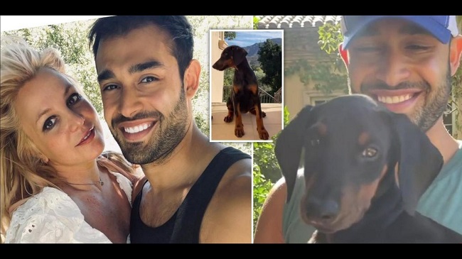 Britney Spears' Fiancé Gifts Her A Dog