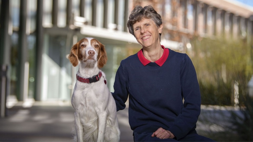 7-Year-Old Boy Mauled To Death ByVaccine Can Protect Dogs From Valley Fever, Says a Study from Arizona UniversityPet Dog In Oklahoma