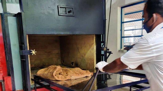 Chennai Gets First Animals Only Crematorium