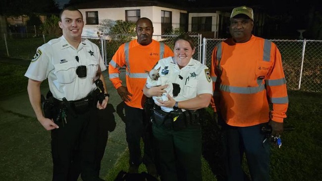 Florida's Hillsborough County Sheriff's Deputies Rescue Dog From a Storm Drain
