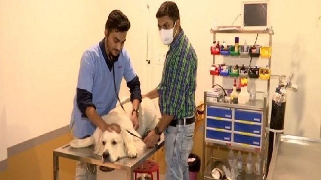 India’s first vet ventilator hospital opens in Ahmedabad