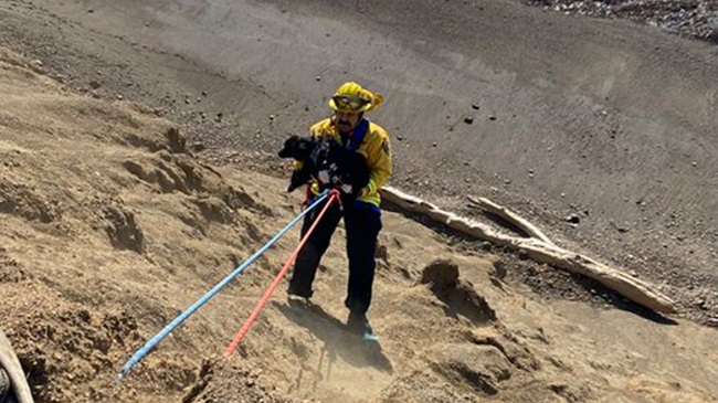 Puppy Survives 40 foot fall Off A California Cliff