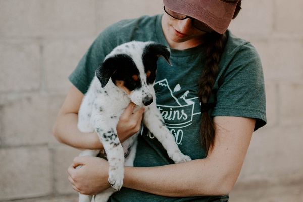 10 Animal Helplines in Mumbai to help dogs in need