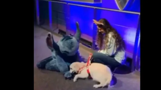 Adorable video of a Dog showering Stitch with puppy kisses