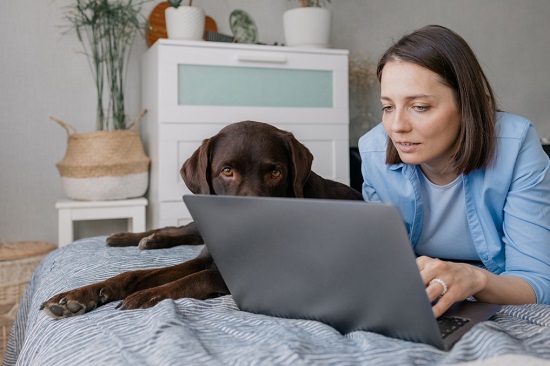 How To Grow Your Dog Care Business (1)