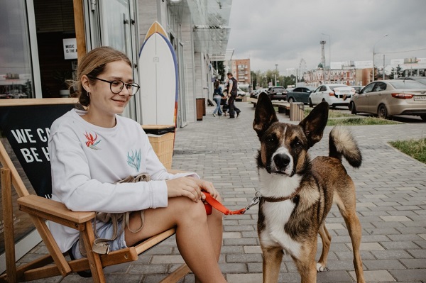 How To Socialize With Your Dog