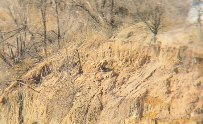 Police Officers in El Paso Country Rescues Dog from Cliff