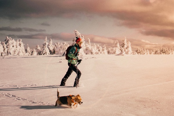 10-Year-Old Girl Survives a Blizzard by Hugging a Dog For 18 Hours in Russia