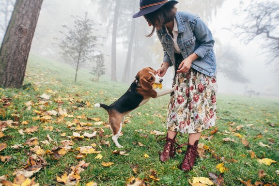 2022 Resolutions for All Dog Guardians - Keep Your Pup Happy