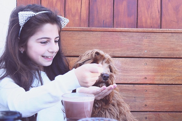 Boost your dog's diet 8 healthy herbs for dogs