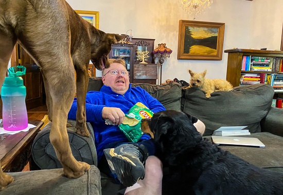 Can Dogs Eat Potatoes