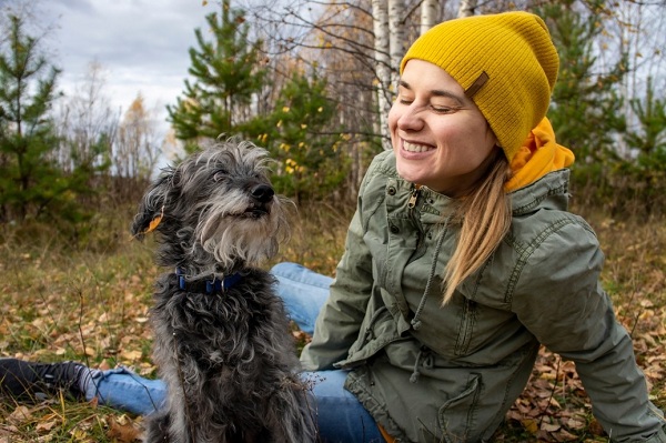 How to Choose Food for Seniors Dogs