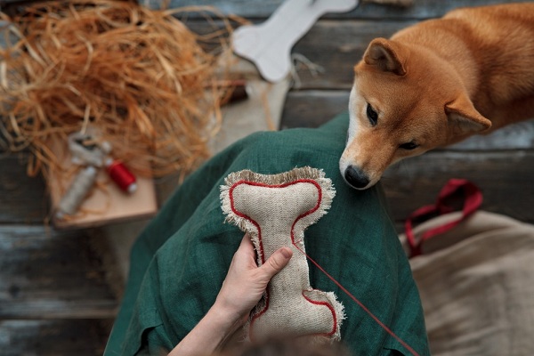 Some Interactive Dog Toys To Assist The Busy Pet Owners