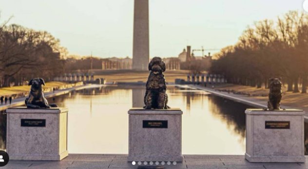 First Dogs of the USA Get Honored By A Dog Nutrition Brand