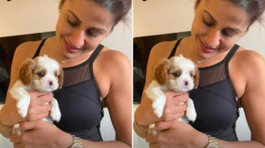 Healthy Recipe for Dog Treat by Celebrity Fitness Trainer