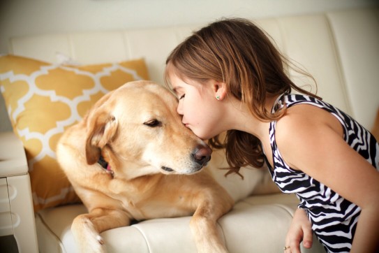 Keep your Labrador happy and healthy with simple tips