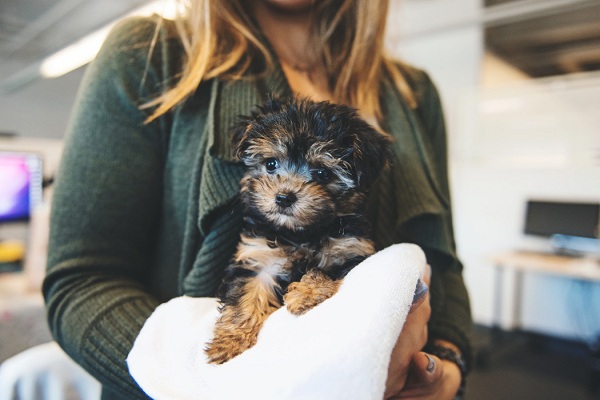 SDMC Building An App To Monitor Sterilization Drive