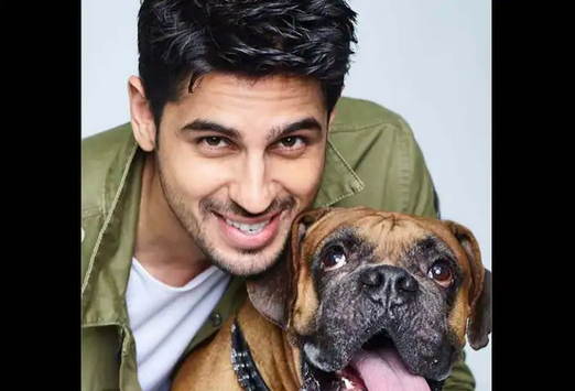 Sidharth Malhotra heartbroken Over His Pet Dog Oscar's Death Pens Note To Him