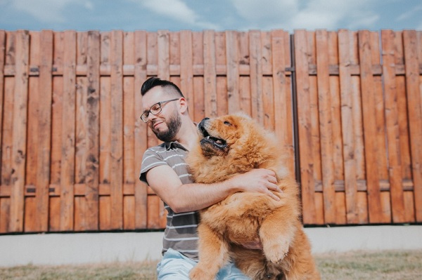 The most well-known dog breeds from China