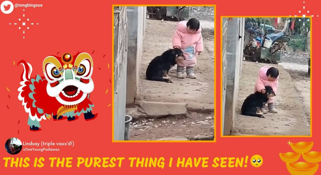 The sweet video gesture by the girl is earning plaudits online.