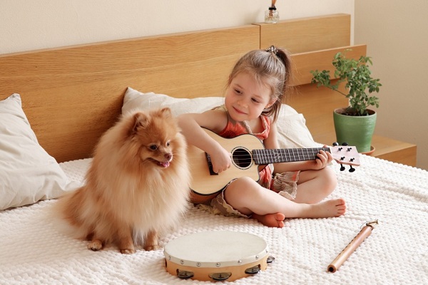 Are You Thinking Of Owning A Pomeranian Things You Must Know About This Breed