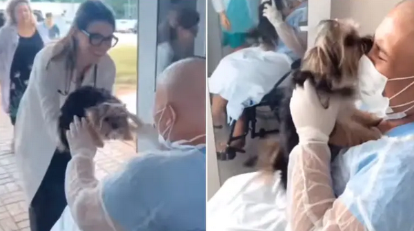 Cancer Patient Reuniting With Her Pet Dog