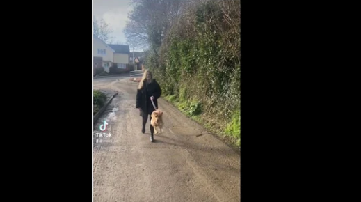 Dog Jumps Like a Bunny