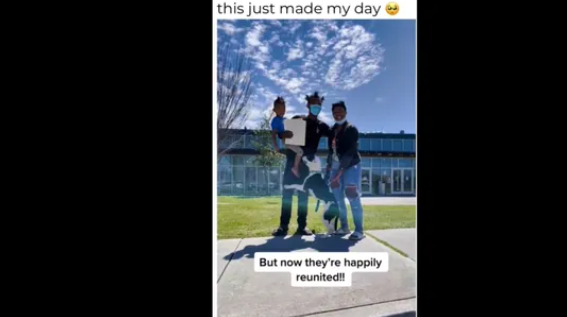 Dog stolen months ago gets reunited with family