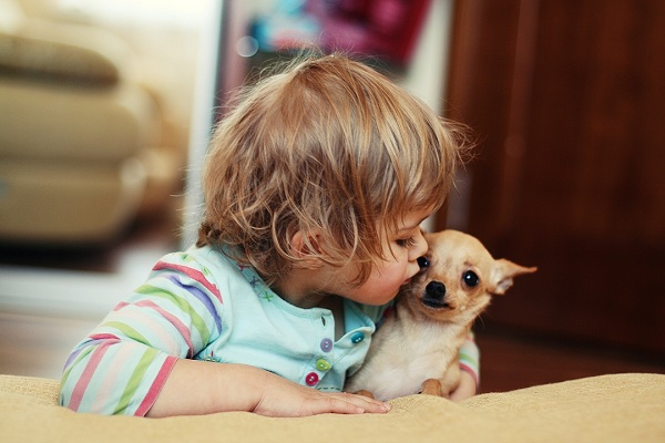 How To Save Your Child From Getting Bitten By Your Dog