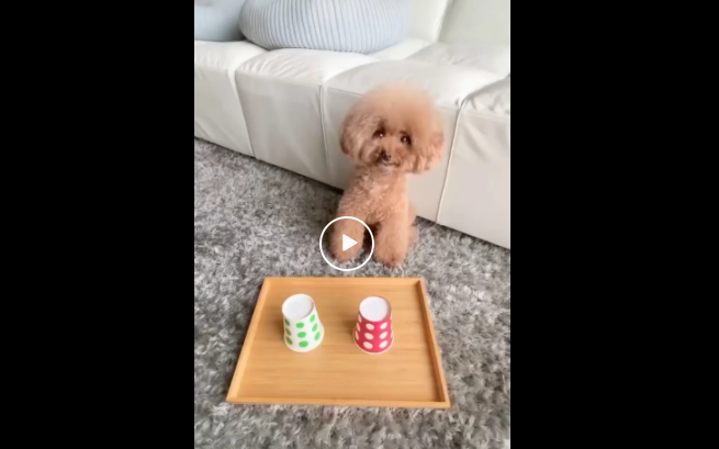 She really knows where her food at