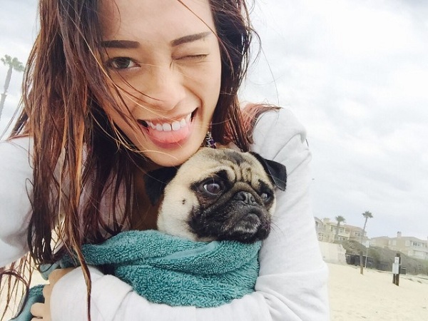 Dog Breeds That Are Friendly To Us