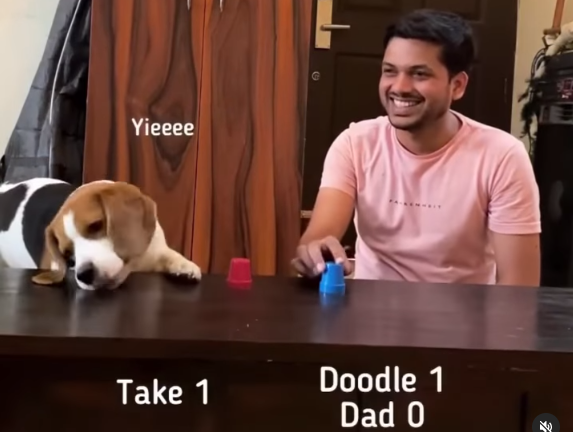 Doodle rocks dad shocked