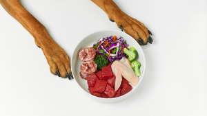 The Ultimate Guide on Chicken Meal in dog food