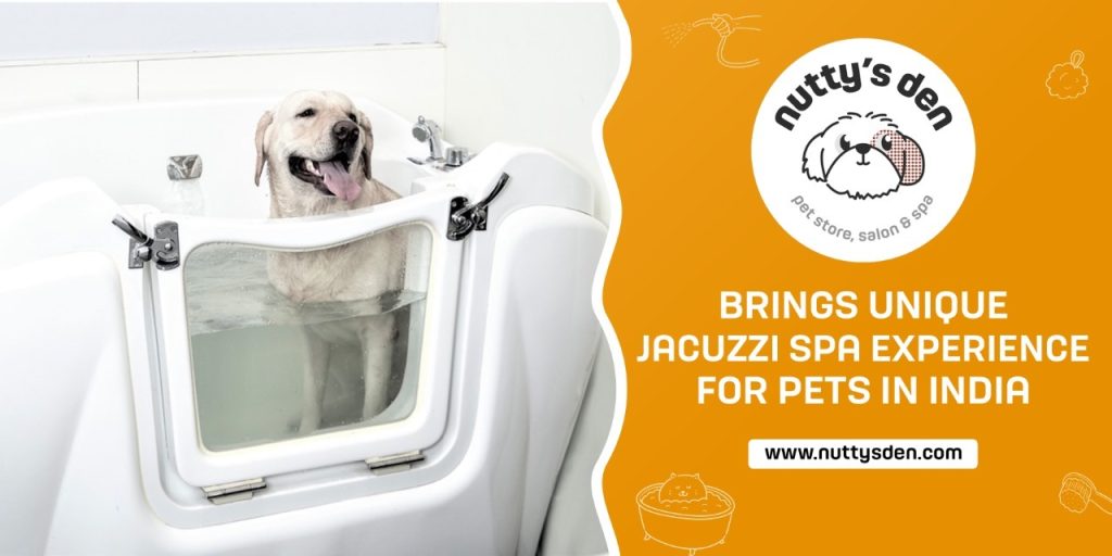 Nuttys Den Pet Jacuzzi