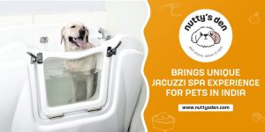 Nuttys Den Pet Jacuzzi