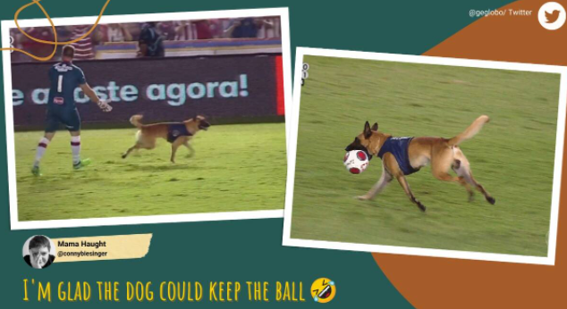 Police dog invades pitch during football match in Brazil