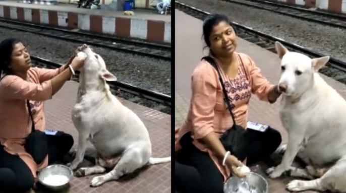 woman feeding a stray dog at a railway station in West Bengal