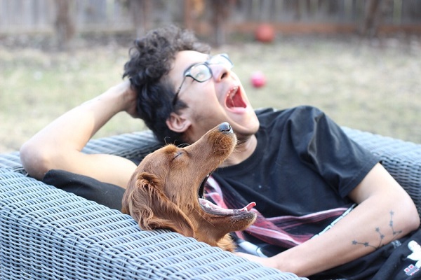 A Dog's Breed Doesn't Determine Its Behavior