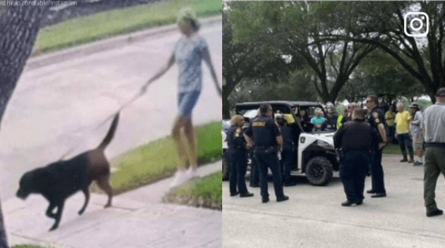 Dog Helps to Find US Woman Who Goes Missing for Three Days