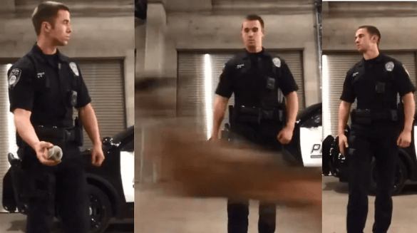 Dog runs at the speed of light