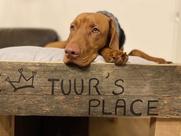 Find the Perfect Name for Your Friendly Giant (Male)